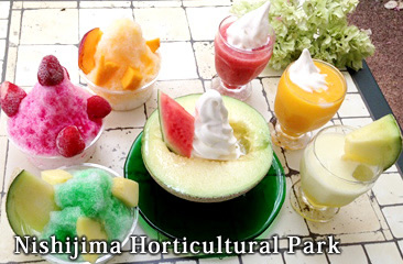 Nishijima Horticultural Park (Fruit picking)