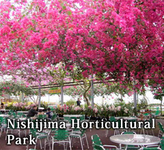 Nishijima Horticultural Park