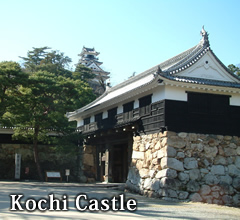 Kochi Castle