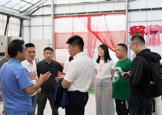 企業訪問イメージ